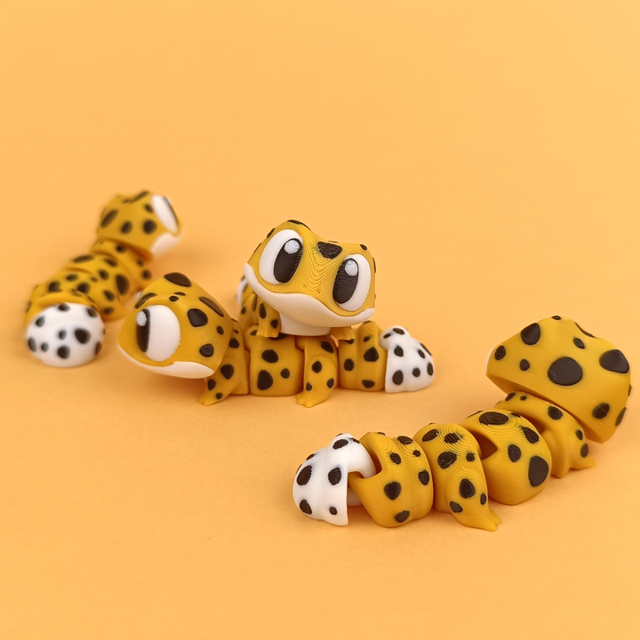 Leopar Gecko 10'lu Set