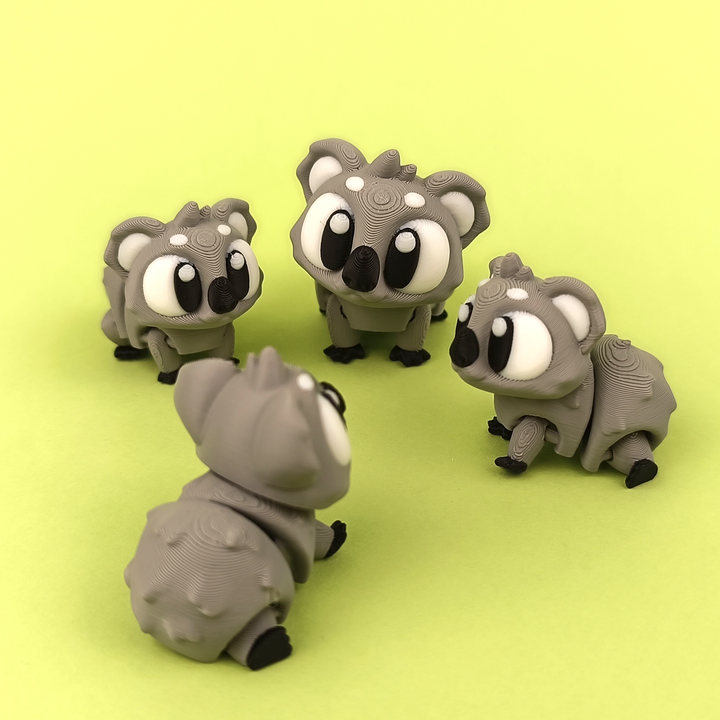 Koala 10'lu Set