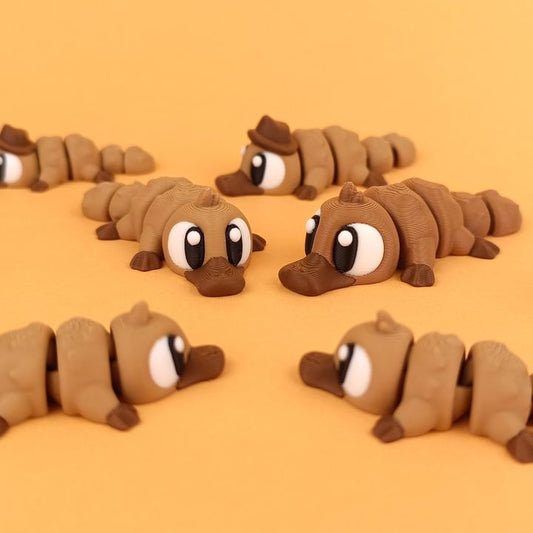 Platypus 10'lu Set