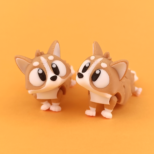 Corgi 10'lu Set