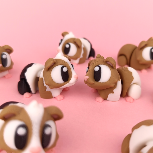 Ginepig 10'lu Set