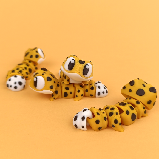 Leopar Gecko 10'lu Set